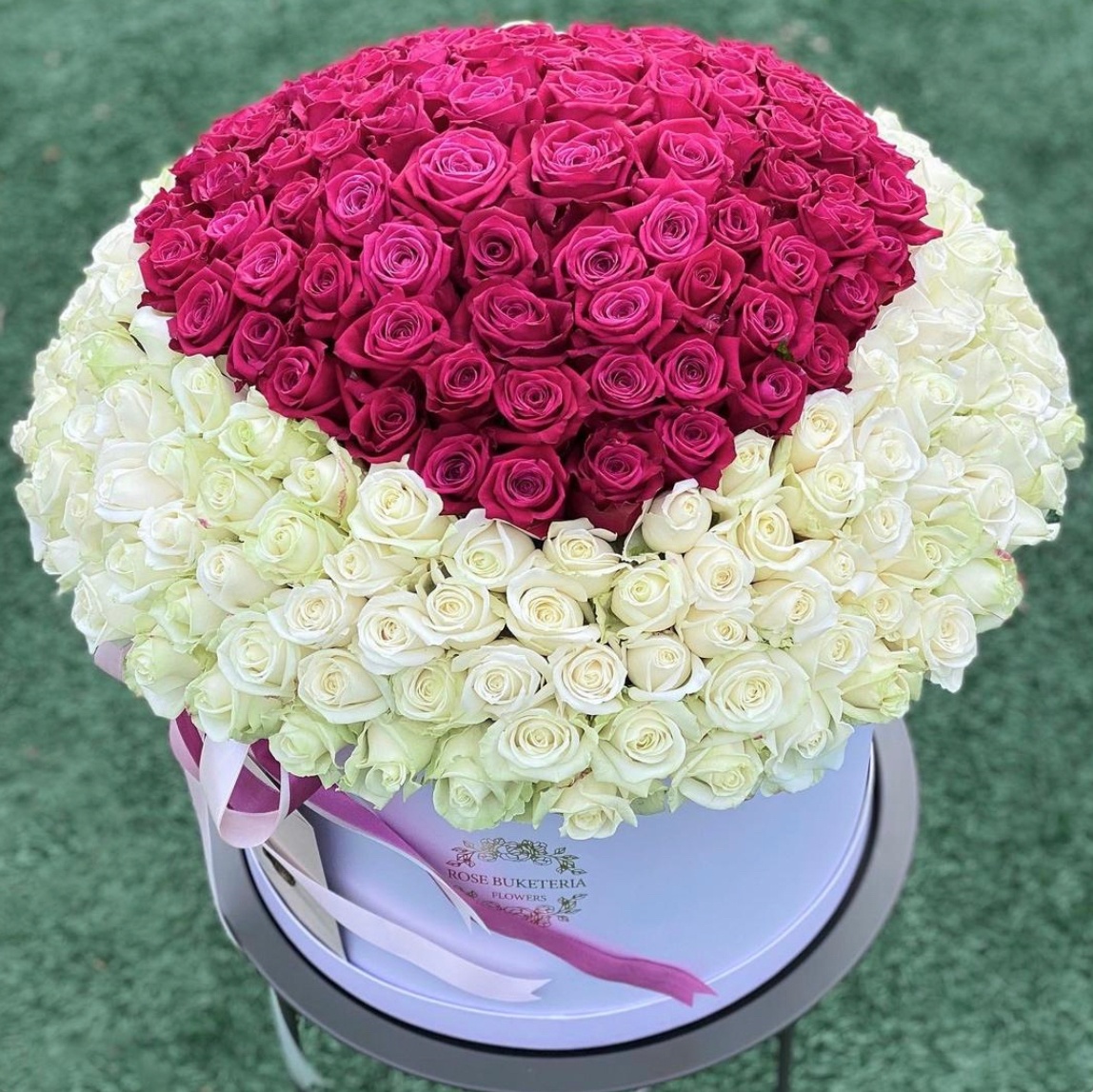 301 Біла, малинова троянда в шляпній коробці XL «Малинове сердце»