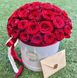 59 Червоних троянд в шляпній коробці M «Гармонія почуттів»