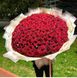201 Червона троянда (Гран прі), 80 см