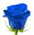 Сині троянди