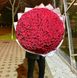 301 Красная роза, 80 см