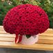 301 Червона троянда в шляпній коробці XL «Незабутній»