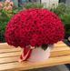 301 красная роза в шляпной коробке XL «Незабываемый»