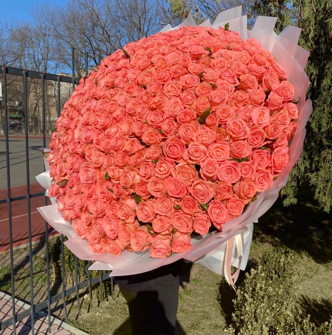 301 Коралловая роза, 90 см