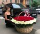 301 Червона троянда в корзині XXXL &laquo;Космічний&raquo;