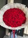 79 Червоних троянд, 80 см (Гран Прі)