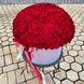 301 Червона троянда в шляпній коробці XL «Незабутній вечір»
