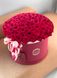 101 Червона троянда в шляпній коробці XL «Незабутній день»