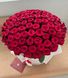 101 Червона троянда в шляпній коробці XL «Пишний гігант»