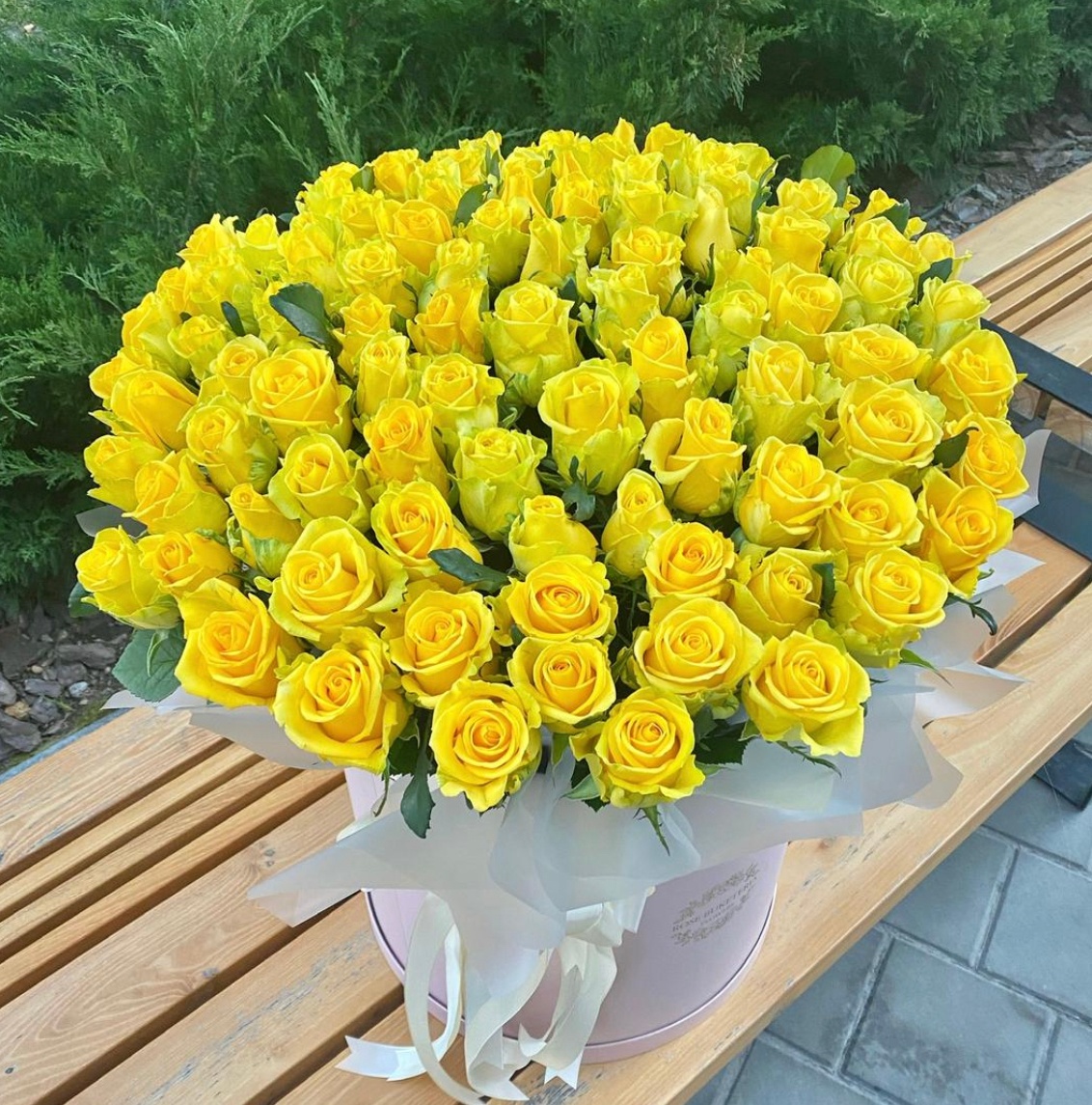 101 Жовта троянда в шляпній коробці XXL "Щастя в руках"