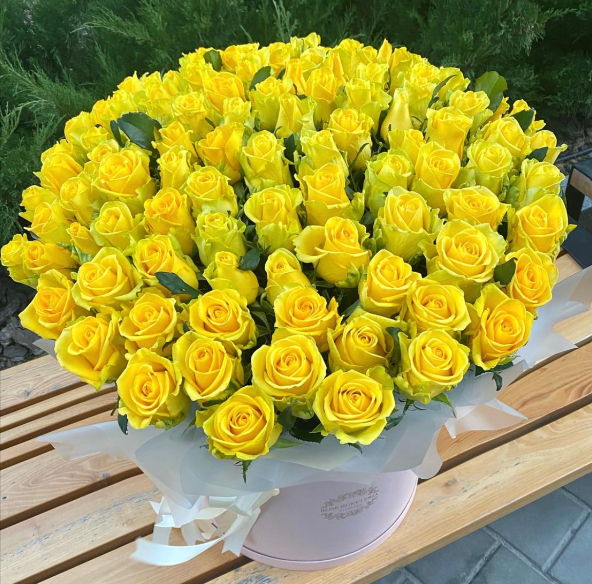 101 Желтая роза в шляпной коробке XXL "Счастье в руках"