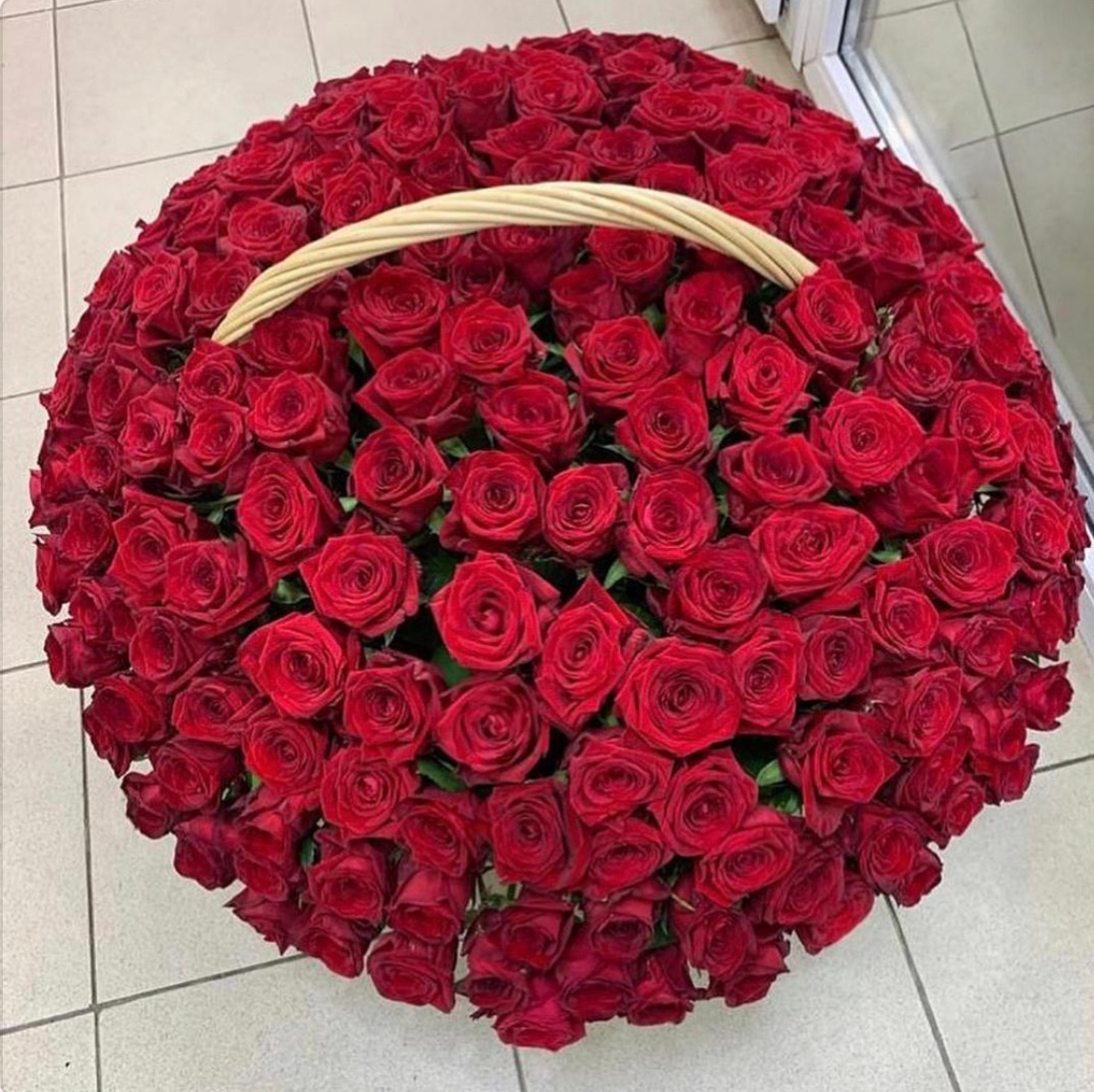 201 Червона троянда в корзині XXL "Струни кохання"