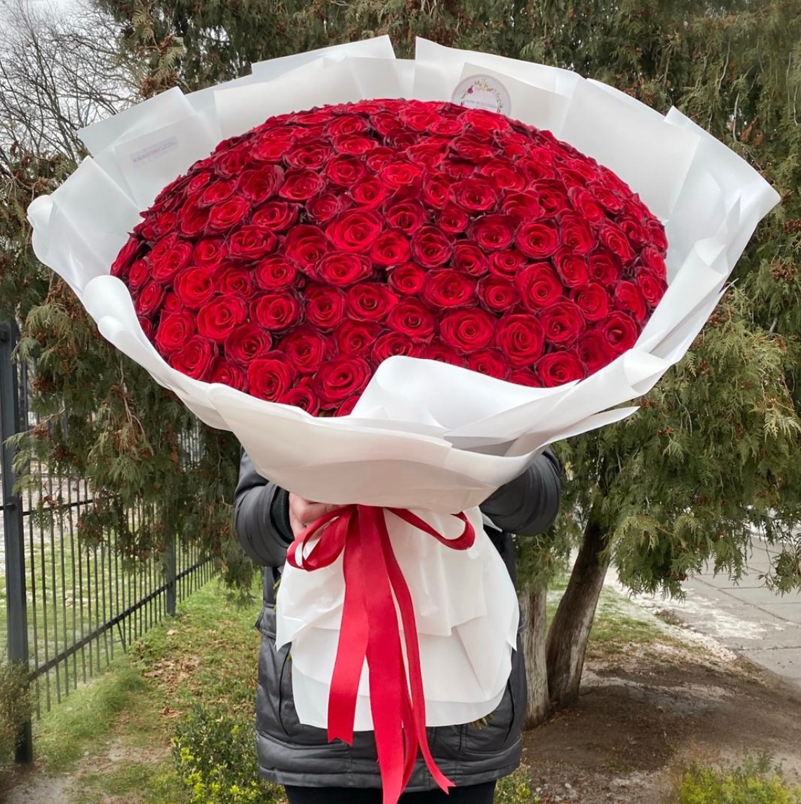159 Червоних троянд, 80 см