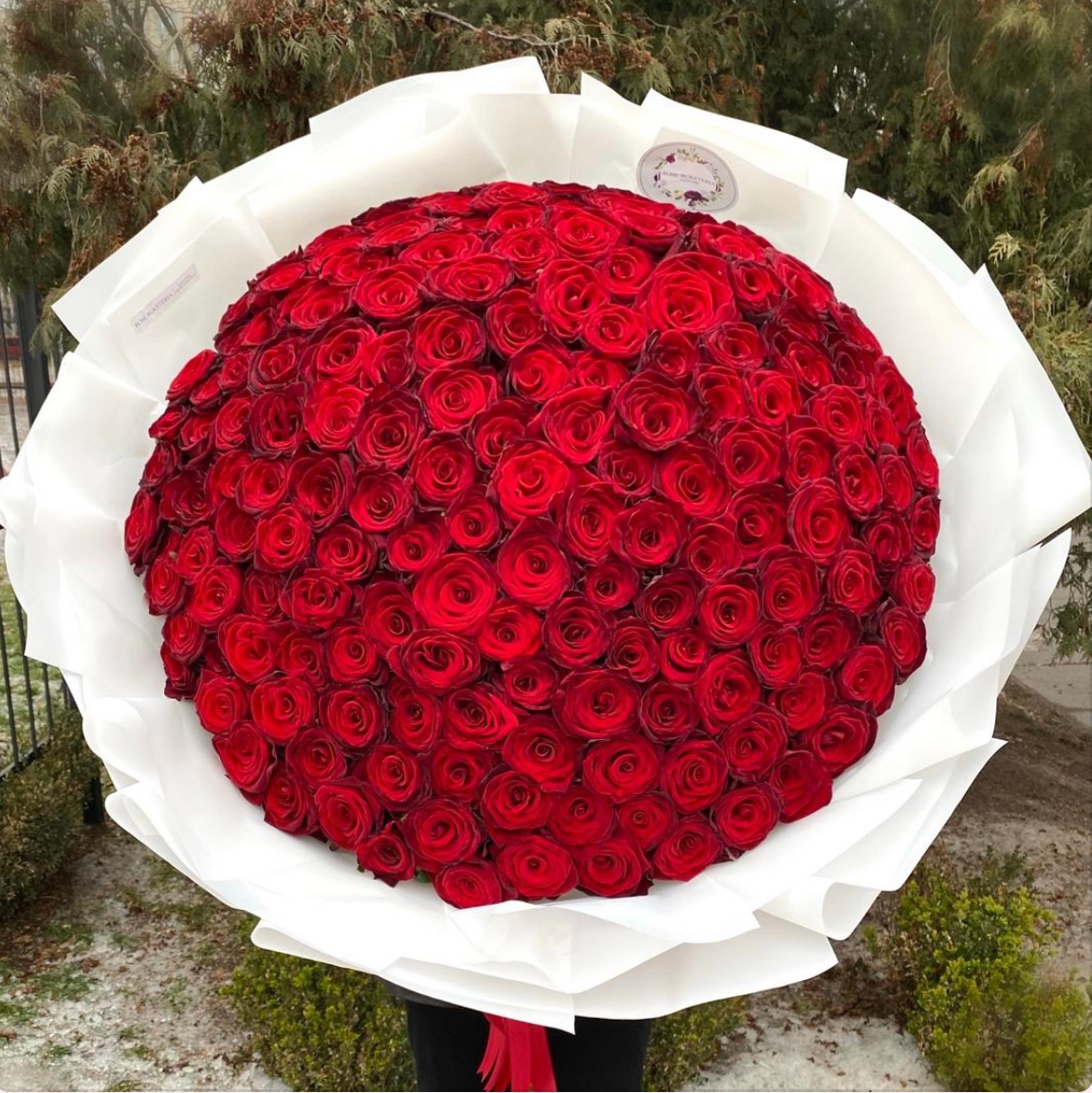 159 Червоних троянд, 80 см